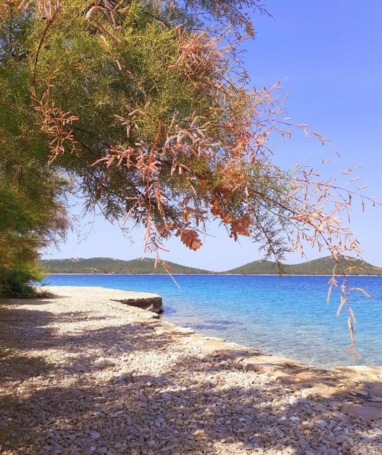 Eden Lady Mobile Home, Croatia, Drage Bagian luar foto