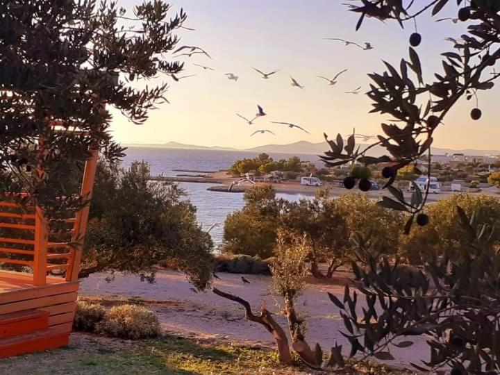 Eden Lady Mobile Home, Croatia, Drage Bagian luar foto