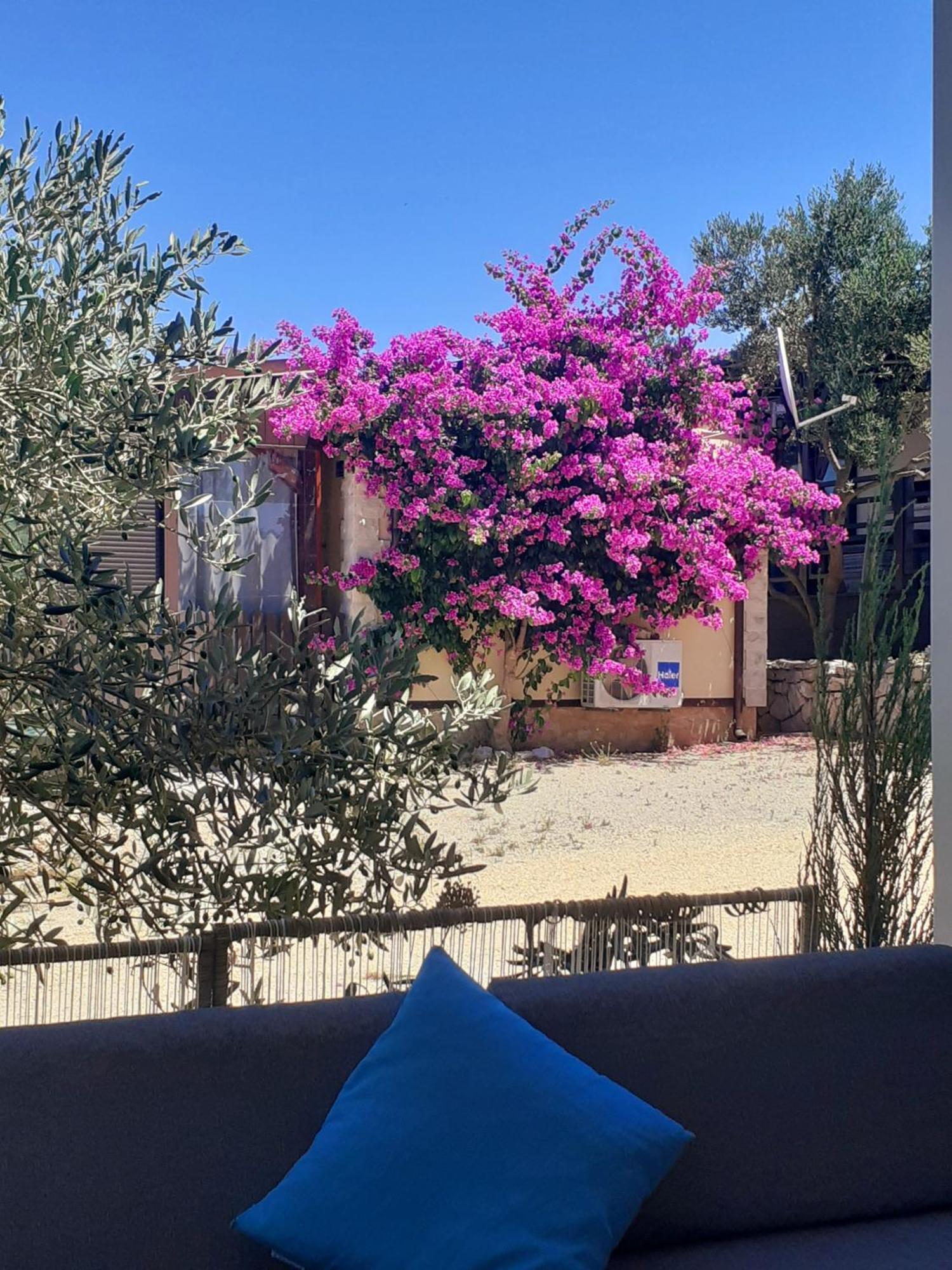 Eden Lady Mobile Home, Croatia, Drage Bagian luar foto